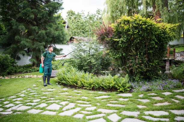 Flea Control Services in Reading, MI