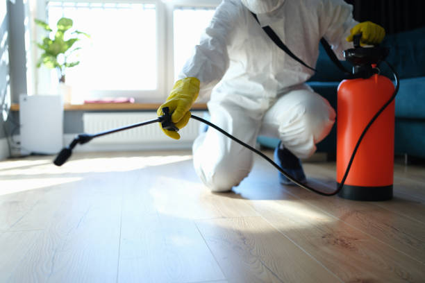 Best Affordable Pest Control Services  in Reading, MI