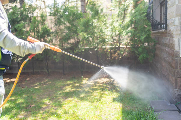 Wasp Removal Services in Reading, MI