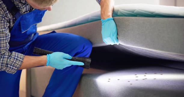 Trusted Reading, MI Pest Control Experts