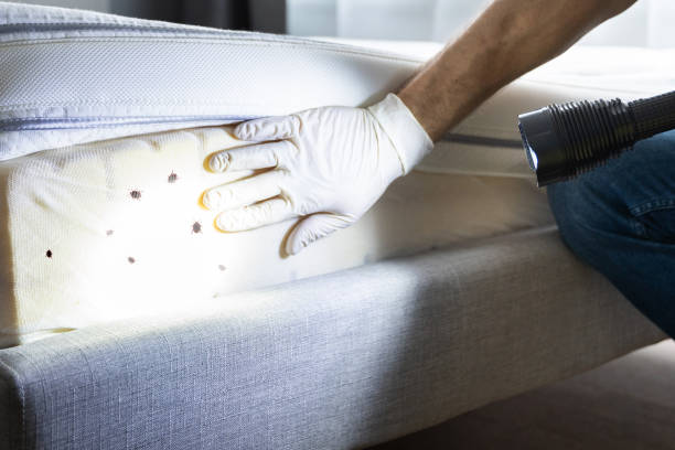 Best Local Pest Control Services  in Reading, MI