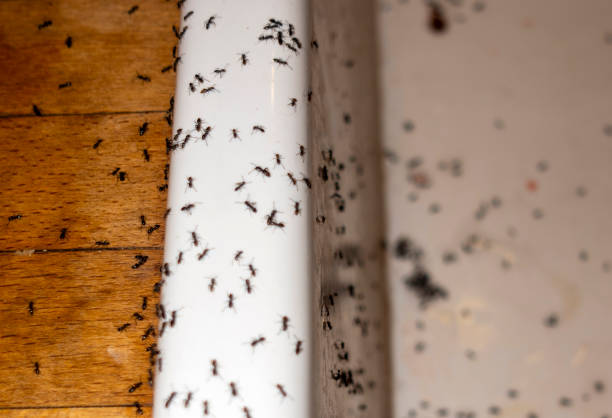 Best Wildlife Control Services  in Reading, MI
