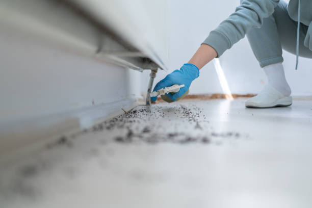 Best Pest Prevention Services  in Reading, MI