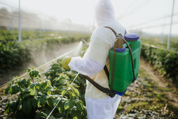 Best Local Pest Control Services  in Reading, MI